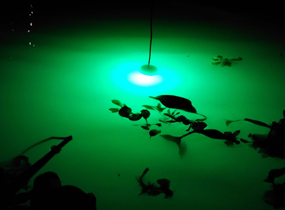 LED驱动电源，LED电源，LED防水驱动电源，户外调光电源，室外路灯电源，深圳明仕达智能科技有限公司